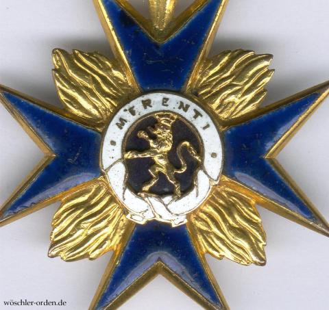 Kurpfalz-Bayern, Orden vom Pfälzer Löwen, Ordenskreuz